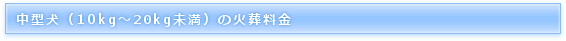 �y�b�g�Α�����