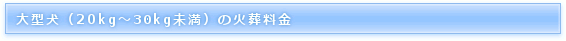 �y�b�g�Α�����